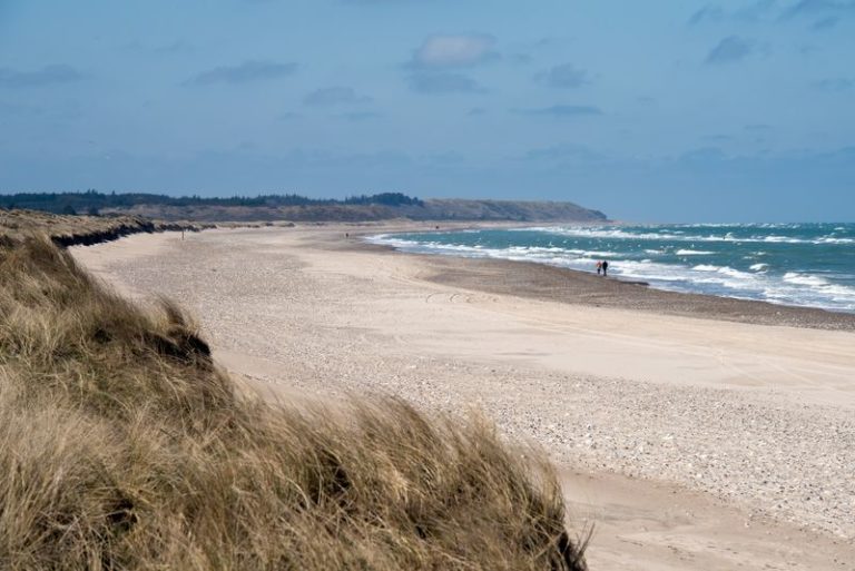 5 Sterne Camping: Auch beim Campen darf der Luxus nicht fehlen