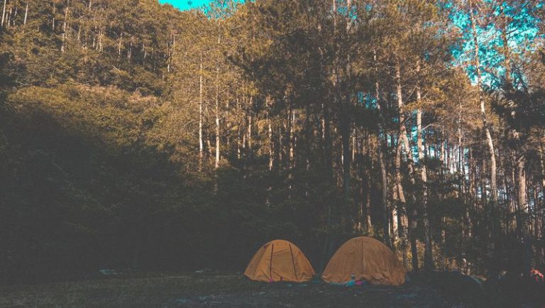 Naturnahes Camping in Vejers in Dänemark
